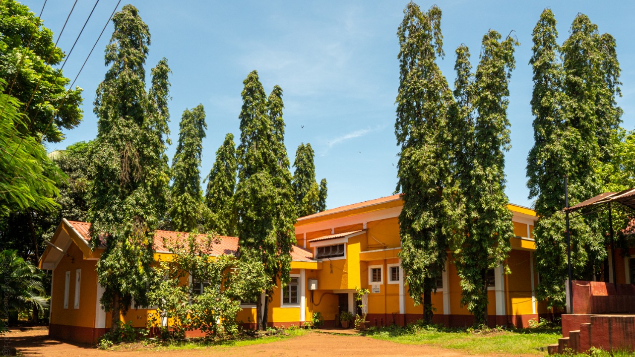 education